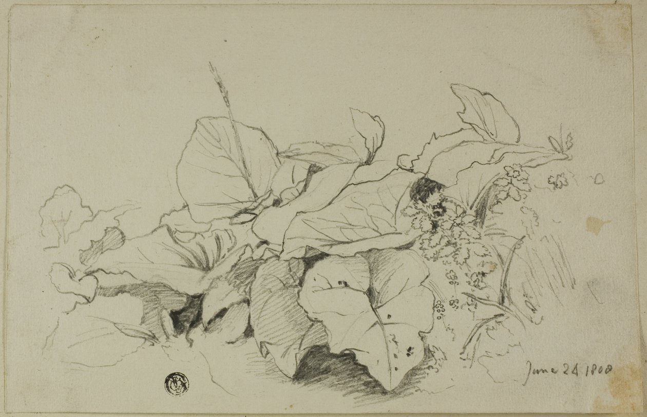 Klomp bladeren en bloemen door Joshua Cristall