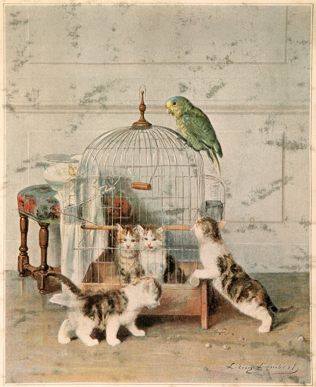 Chatons door Josse Photo