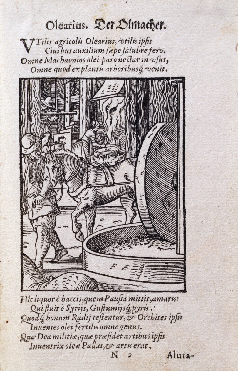 Oliemaker, illustratie uit de Latijnse editie van 