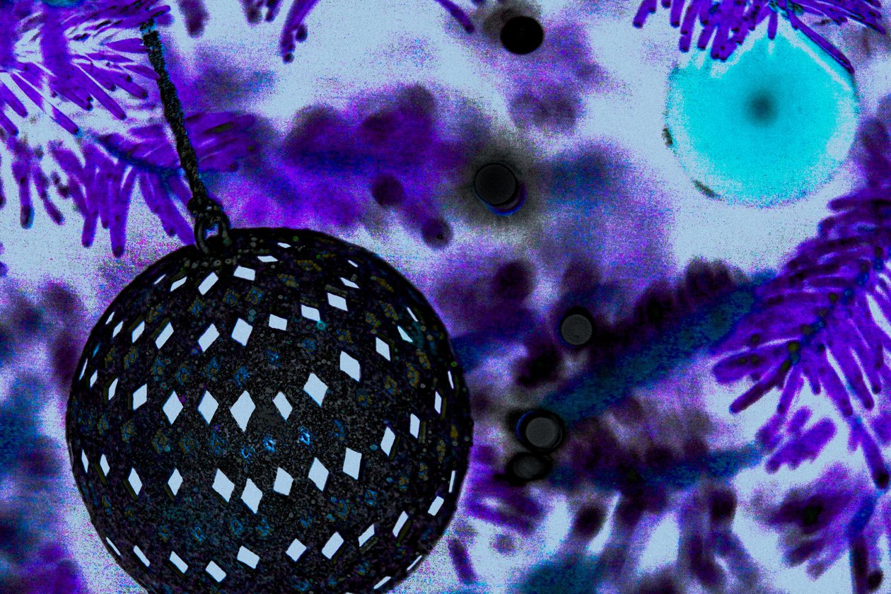 Ballenornament, uit de serie De kerstboom, 2015 (overgeschilderde foto) door Joy Lions