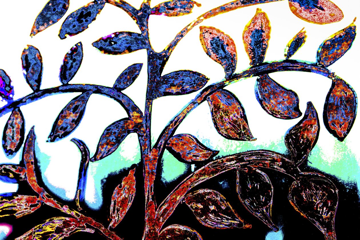 Lente, uit de serie Italiaanse Synagoge, 2015 (gemengde techniek) door Joy Lions