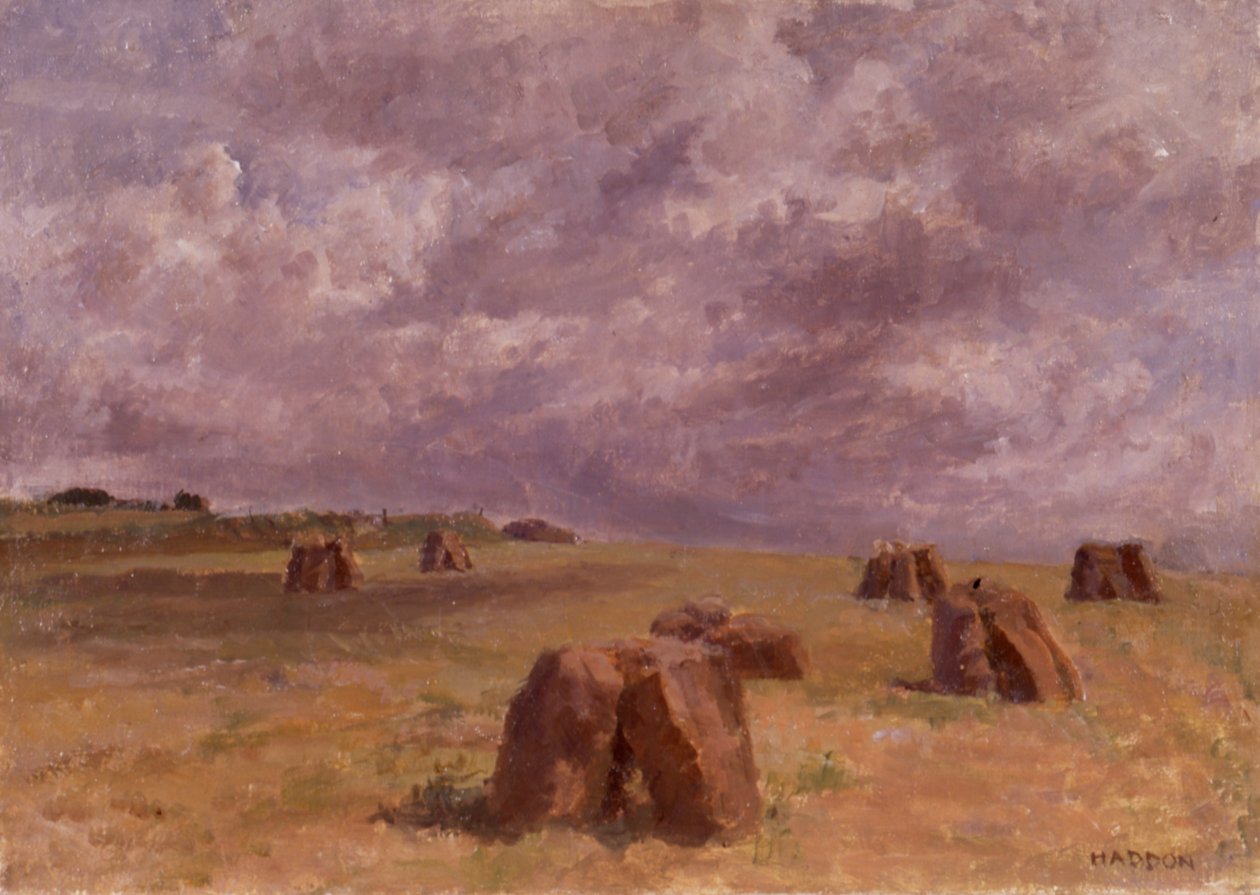 Plain Rocks (schilderij) door Joyce Haddon