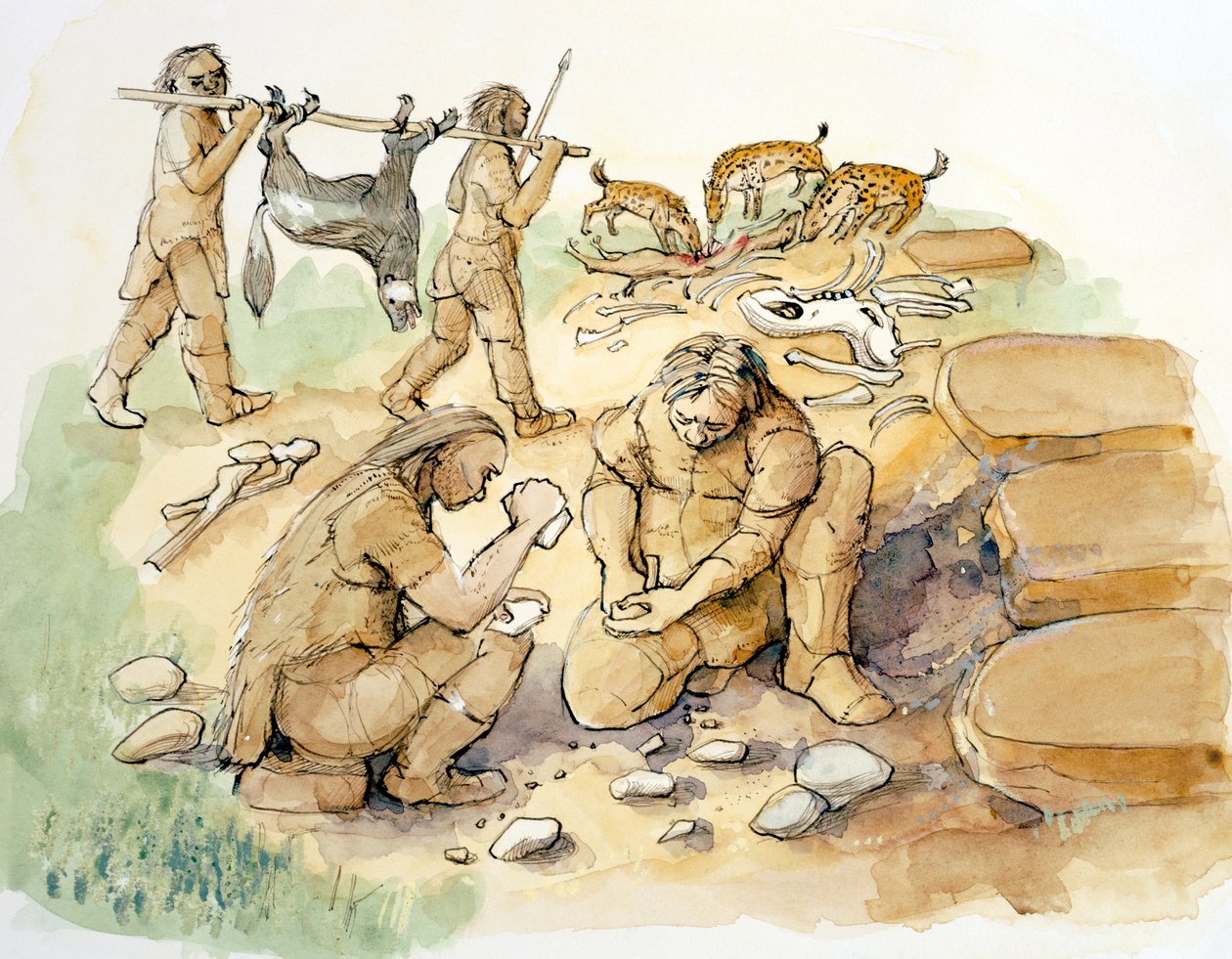Glaston. Hominiden en hyena