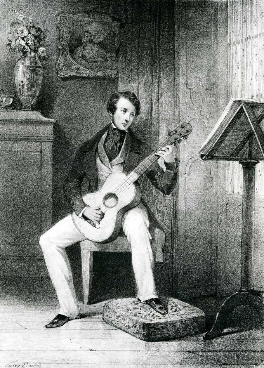 De Gitaarspeler door Jules David