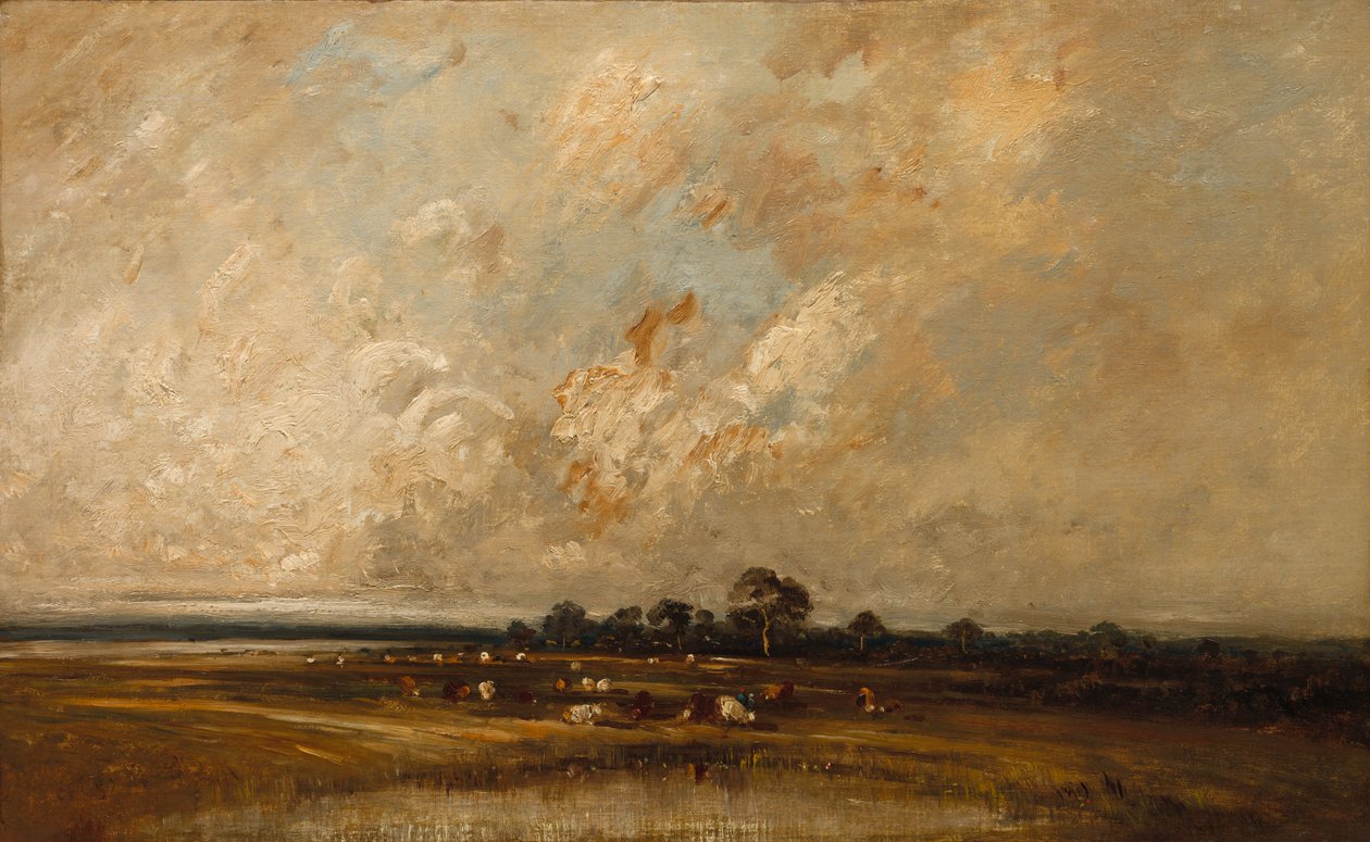 Moerasland door Jules Dupré