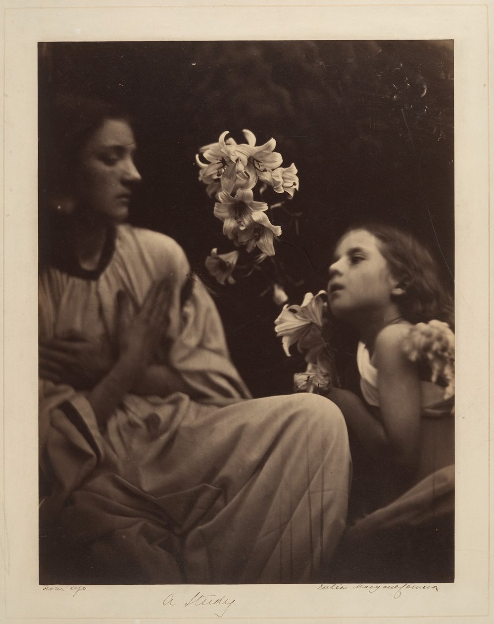 Een onderzoek door Julia Margaret Cameron