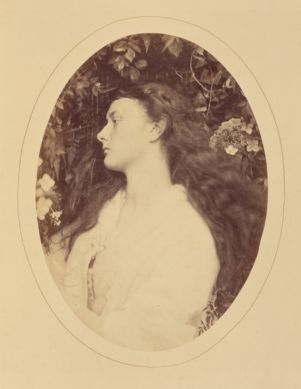 [Alethea] door Julia Margaret Cameron