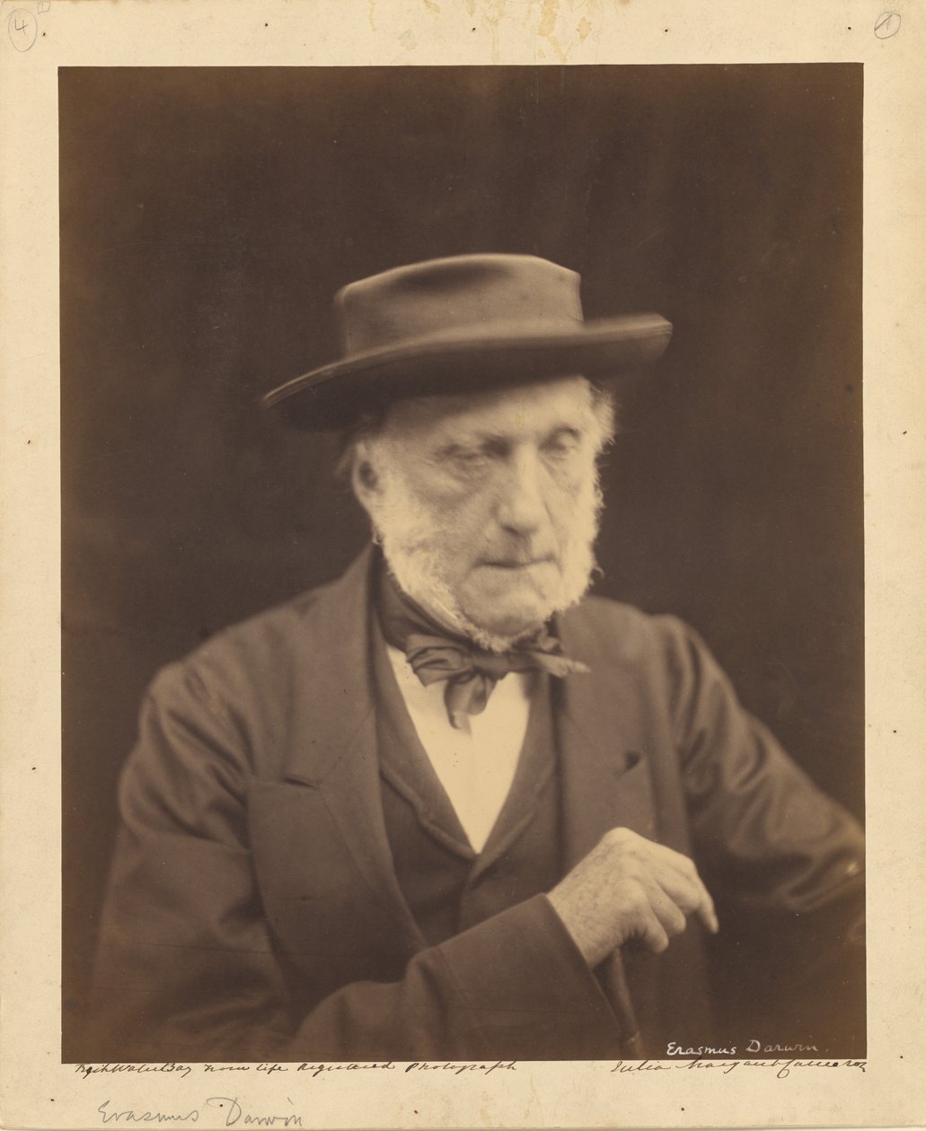 [Erasmus Darwin] door Julia Margaret Cameron
