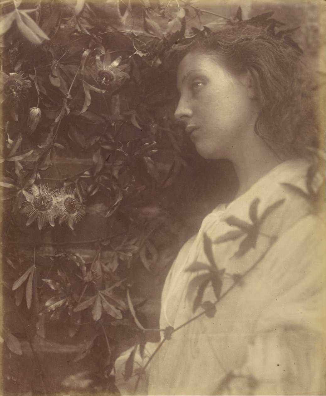 Maud "Er is een prachtige traan gevallen van de passiebloem bij de poort". door Julia Margaret Cameron