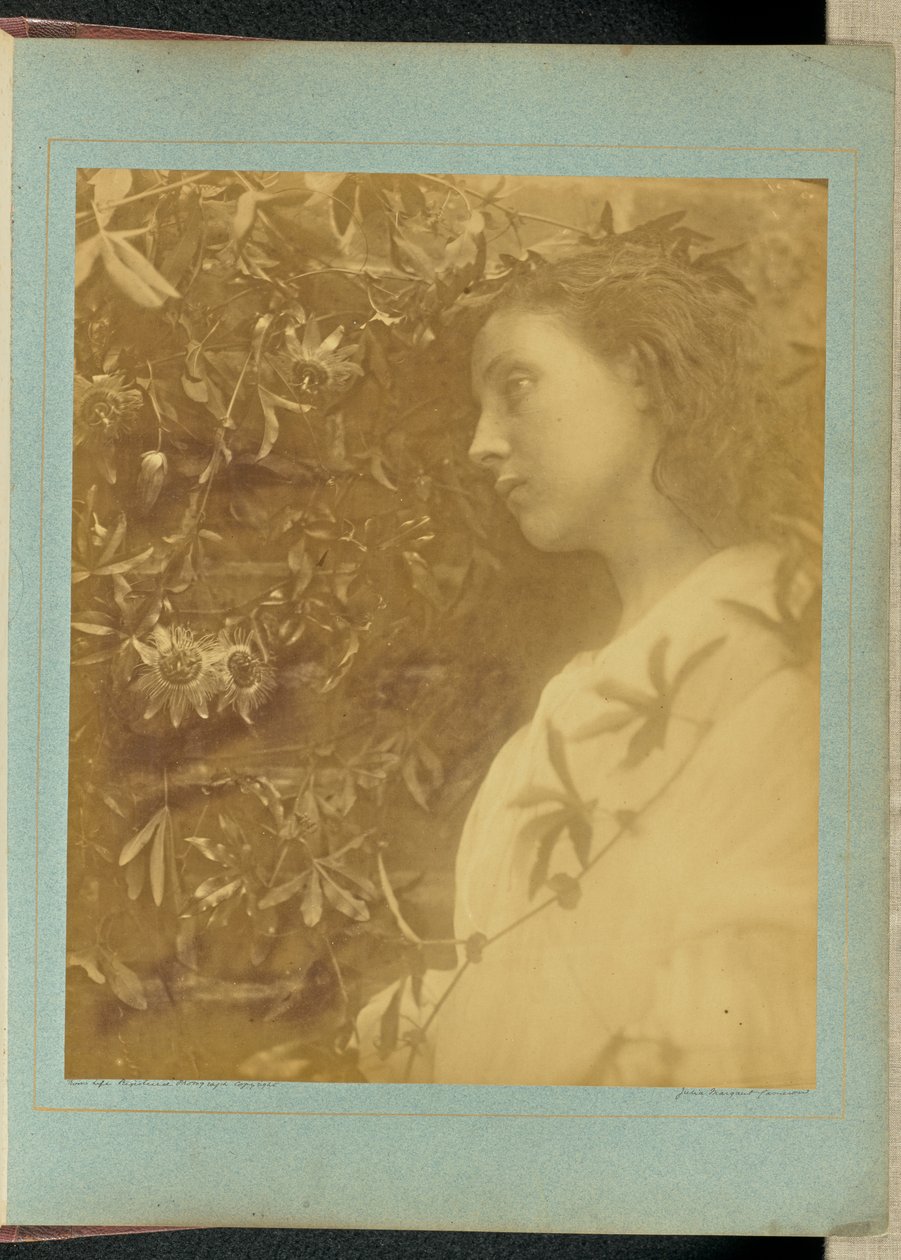 Maud „Er is een prachtige traan gevallen“ / „Van de passiebloem bij de poort.“ door Julia Margaret Cameron