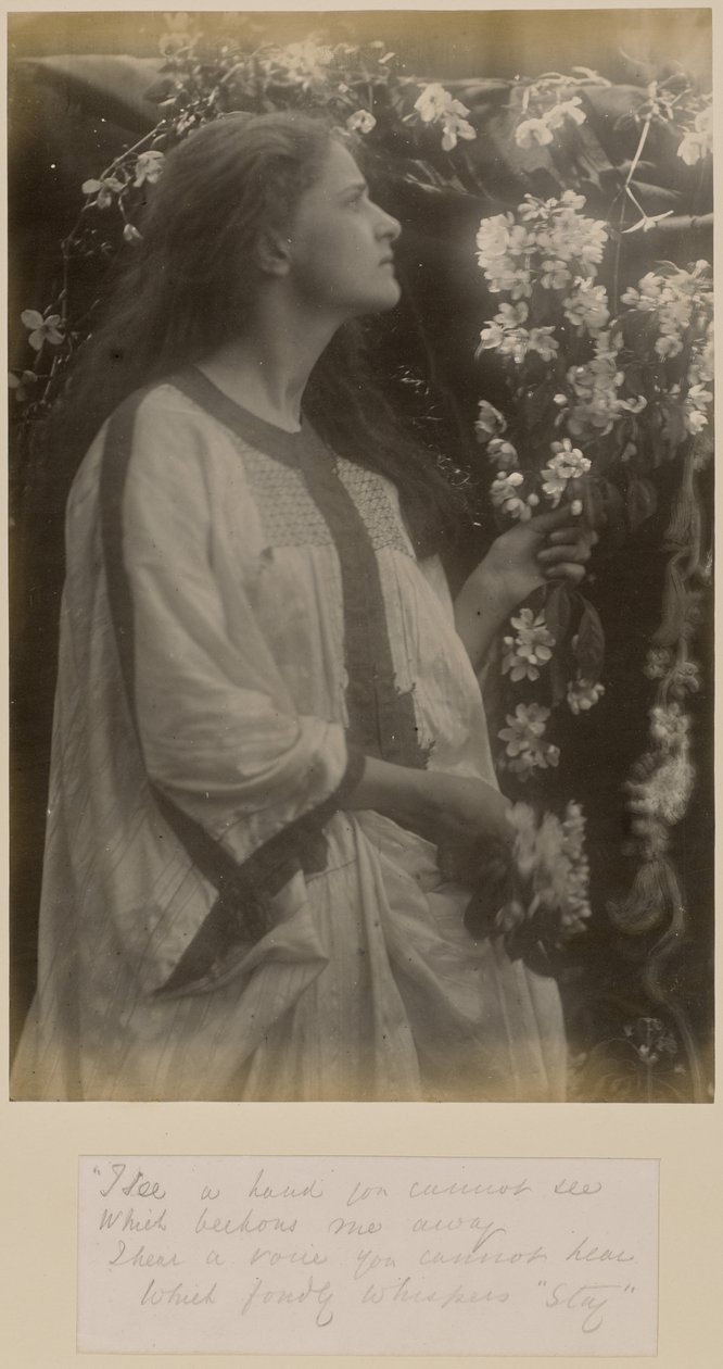 [Lente] door Julia Margaret Cameron