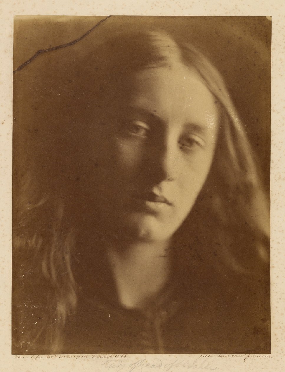 [Studiehoofd van St. John]. door Julia Margaret Cameron