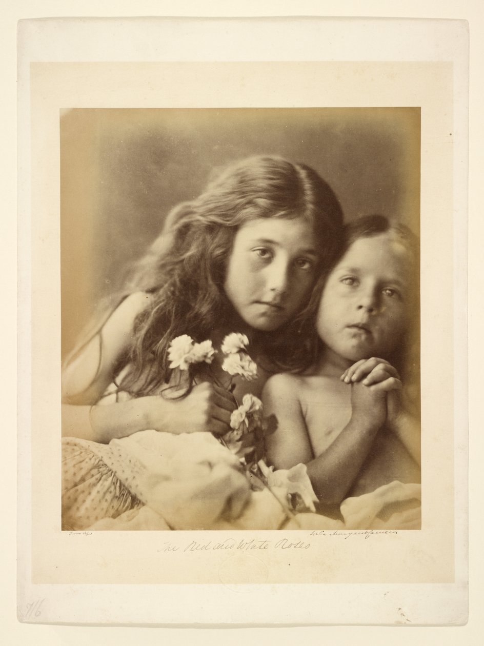 De rode en witte rozen door Julia Margaret Cameron