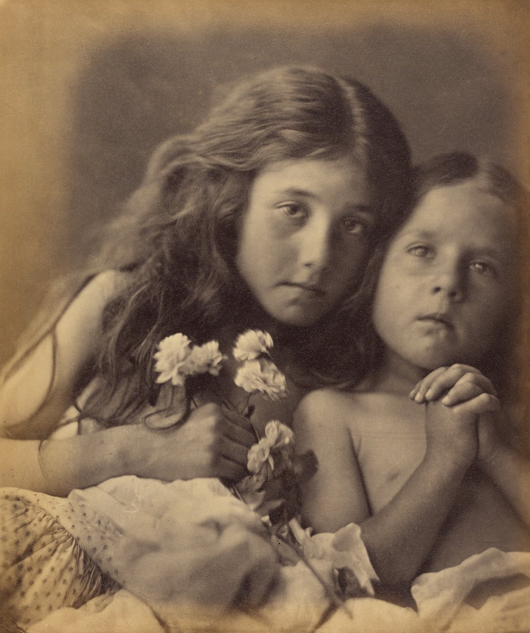 De rode en witte rozen door Julia Margaret Cameron