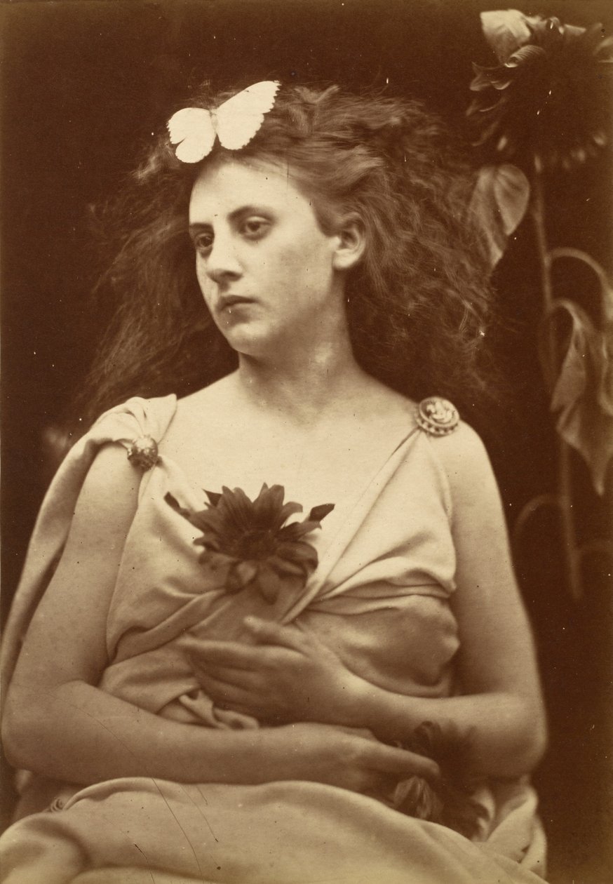 De zonnebloem, begin jaren 1870 (foto) door Julia Margaret Cameron