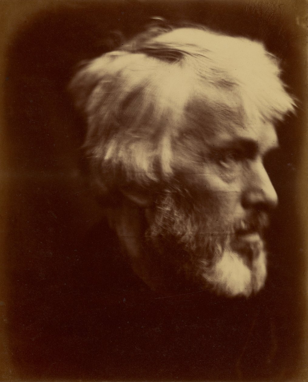 [Thomas Carlyle] door Julia Margaret Cameron