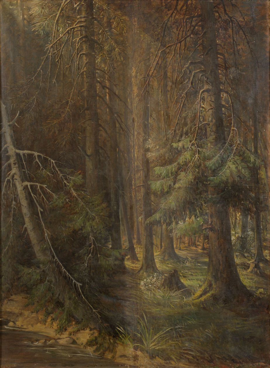 Bos door Julie Wilhelmine Hagen Schwarz