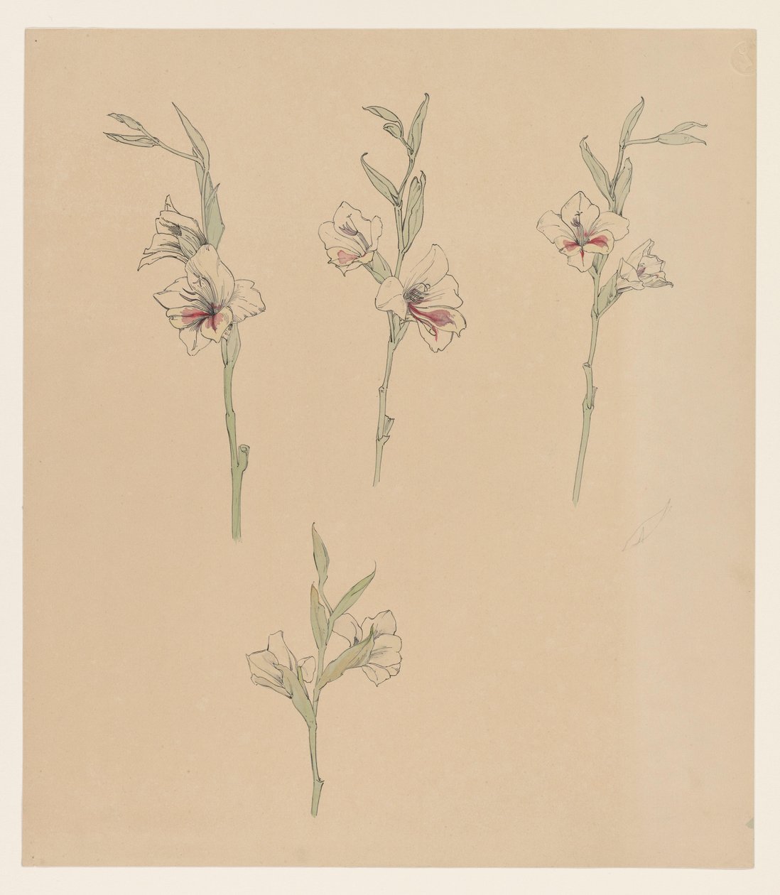 Bloemstudies door Julie de Graag