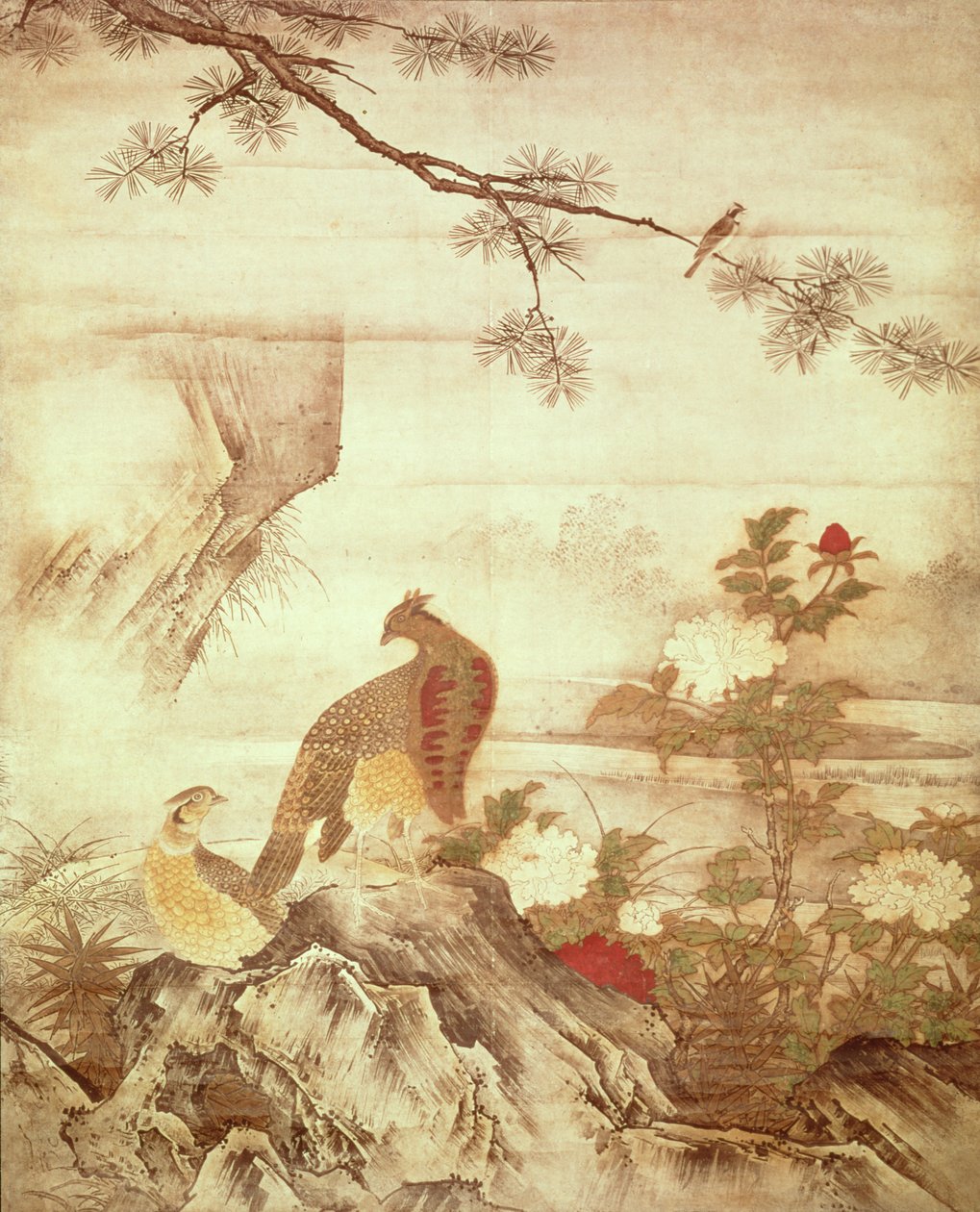 Fazanten en pioenen, uit een serie rollen die Vogels en Bloemen van de Vier Seizoenen vertegenwoordigen, Muromachi-periode door Kano Motonobu