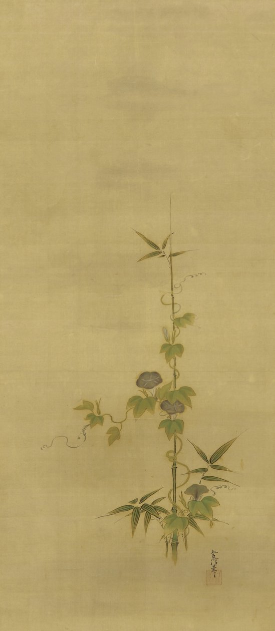 Bamboe en ochtendglorie, Edo-periode, midden 17e - begin 18e eeuw door Kano Tsunenobu