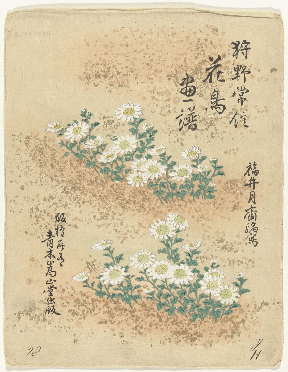 Inhoudsopgave Bloemen- en vogelschetsen van Kano Tsunenobu (serie titel) Kano Tsunenobu kacho gafu (serie titel op object) door Kano Tsunenobu