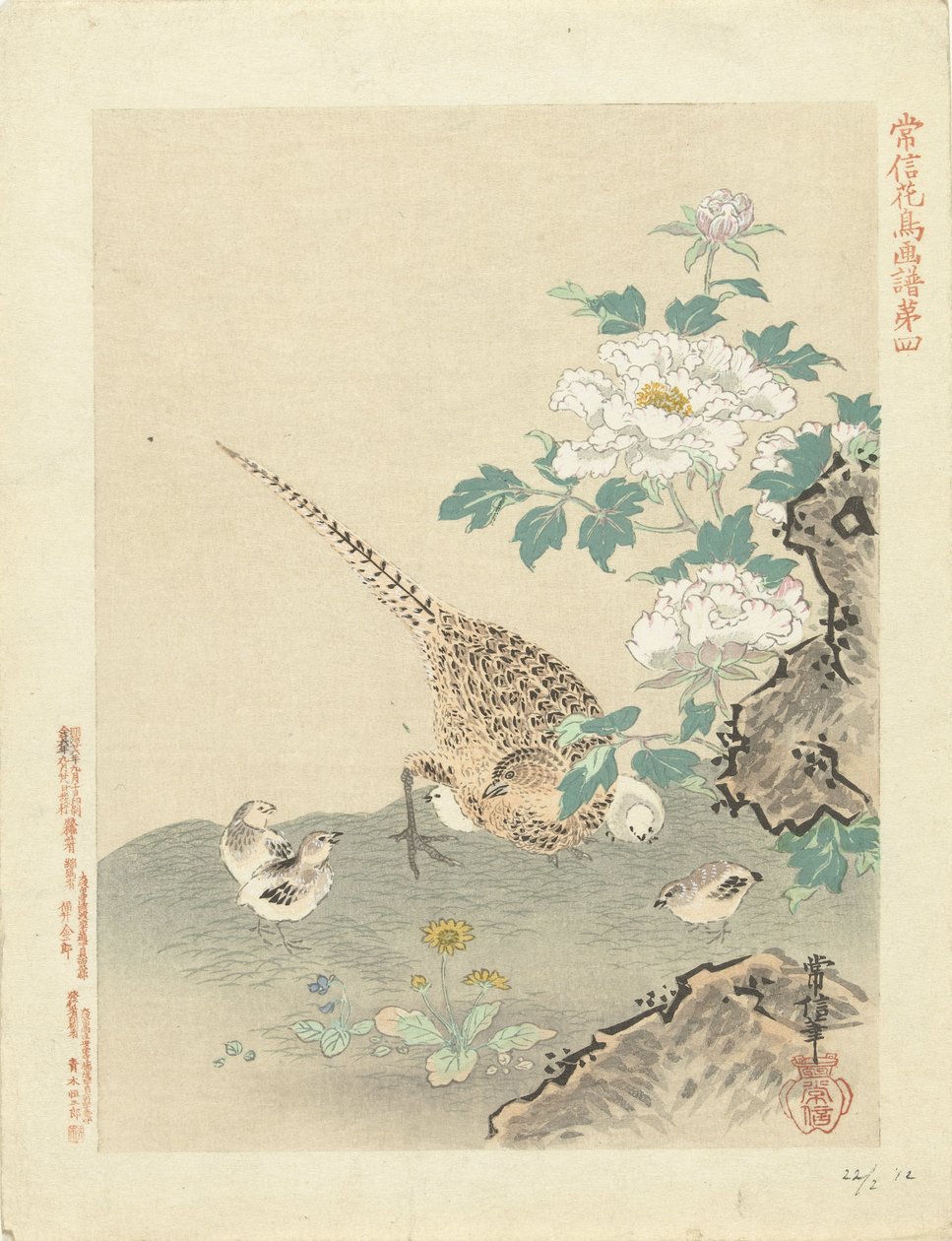 Kwartel met kuikens door Kano Tsunenobu