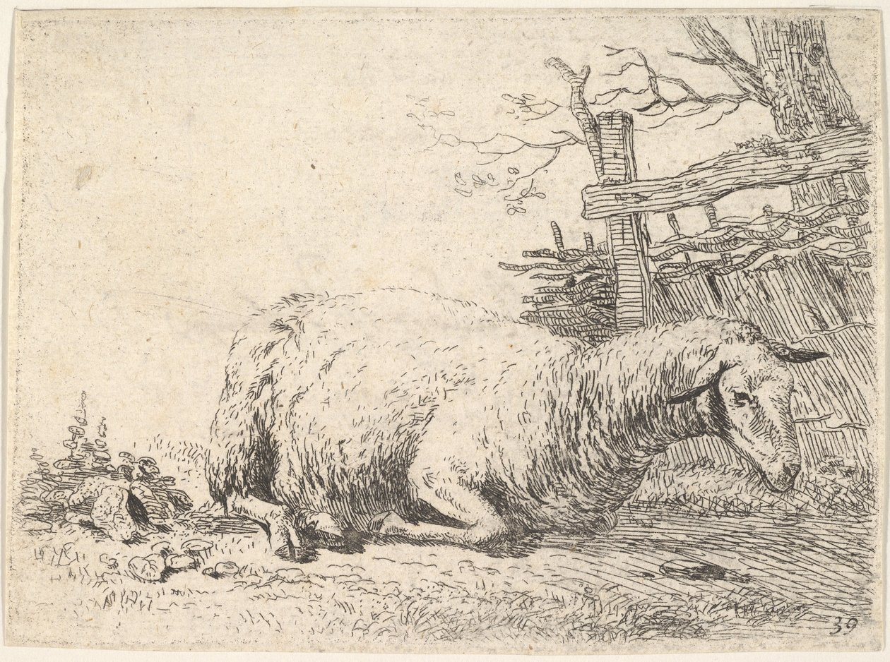 Een schaap liggend met zijn poten onder zijn lichaam naast een houten hek, de scha..., ca. 1655 door Karel Du Jardin