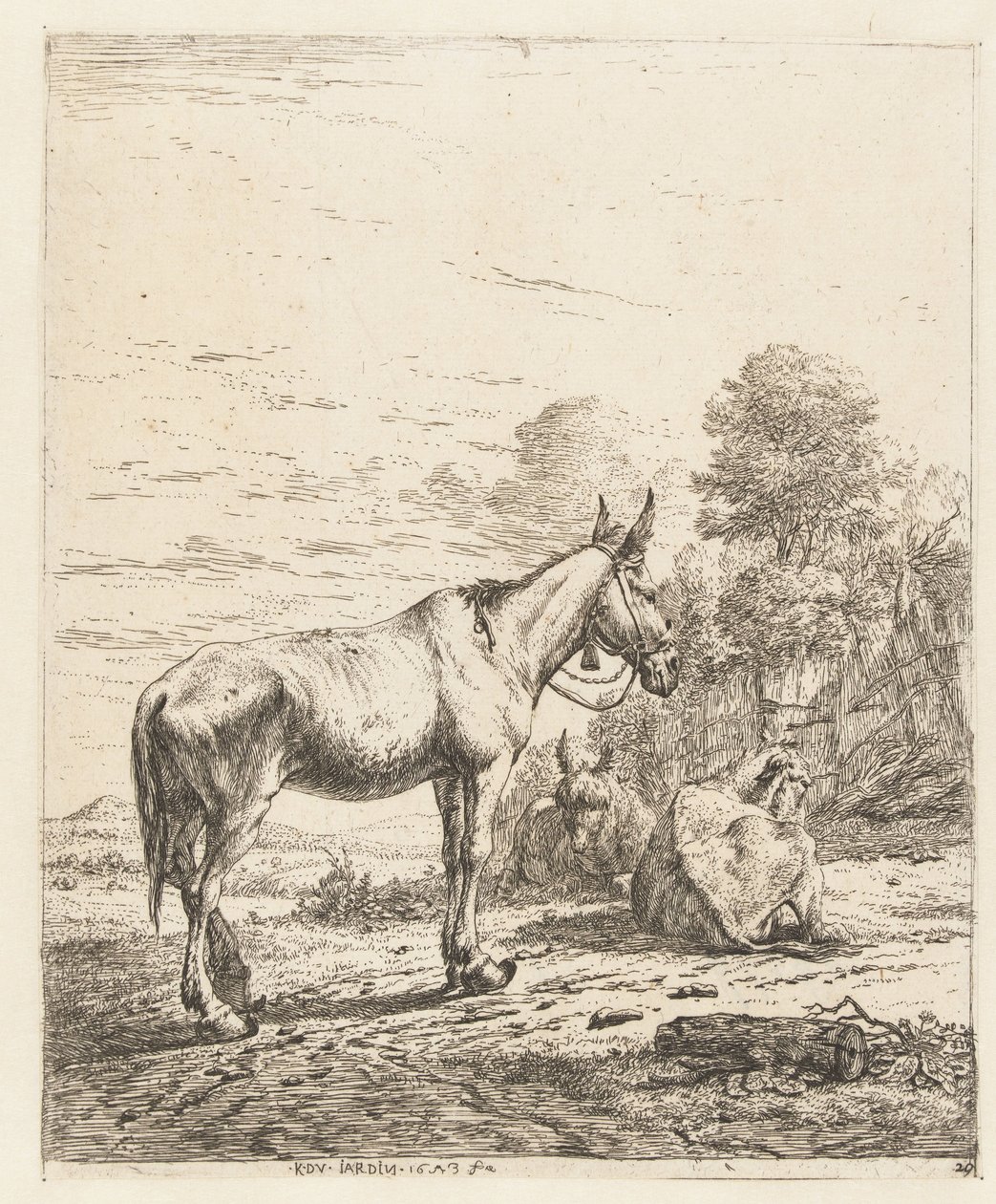 Muilezel met bel aan halster en twee liggende ezels