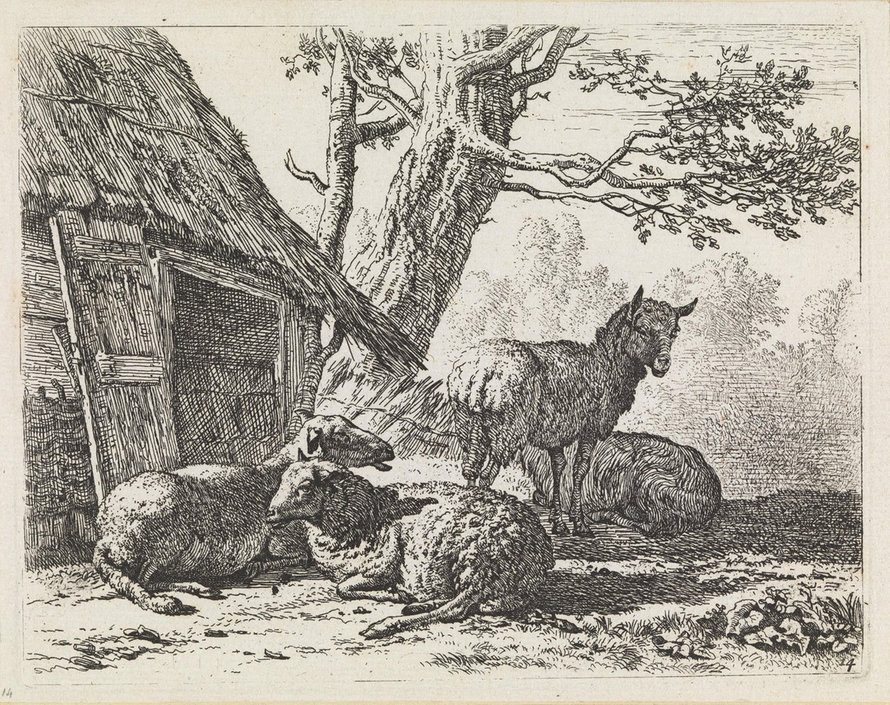 Vier schapen door Karel Dujardin