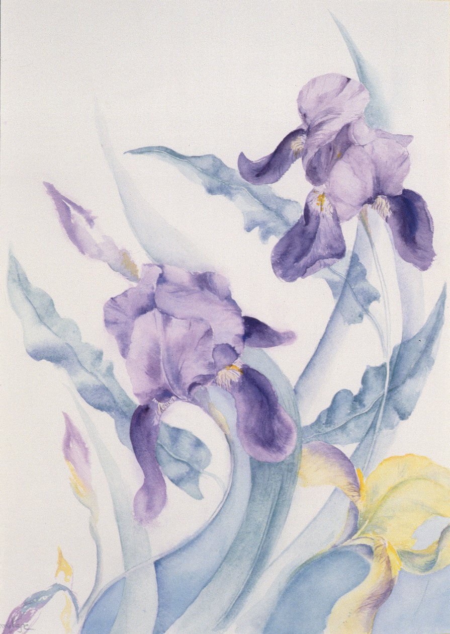 Iris, blauwe Mare door Karen Armitage