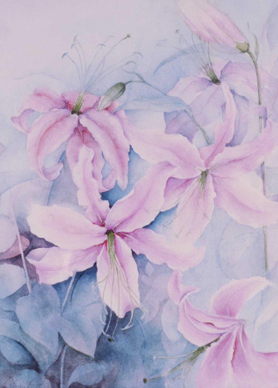 Lelies, roze Auratum door Karen Armitage