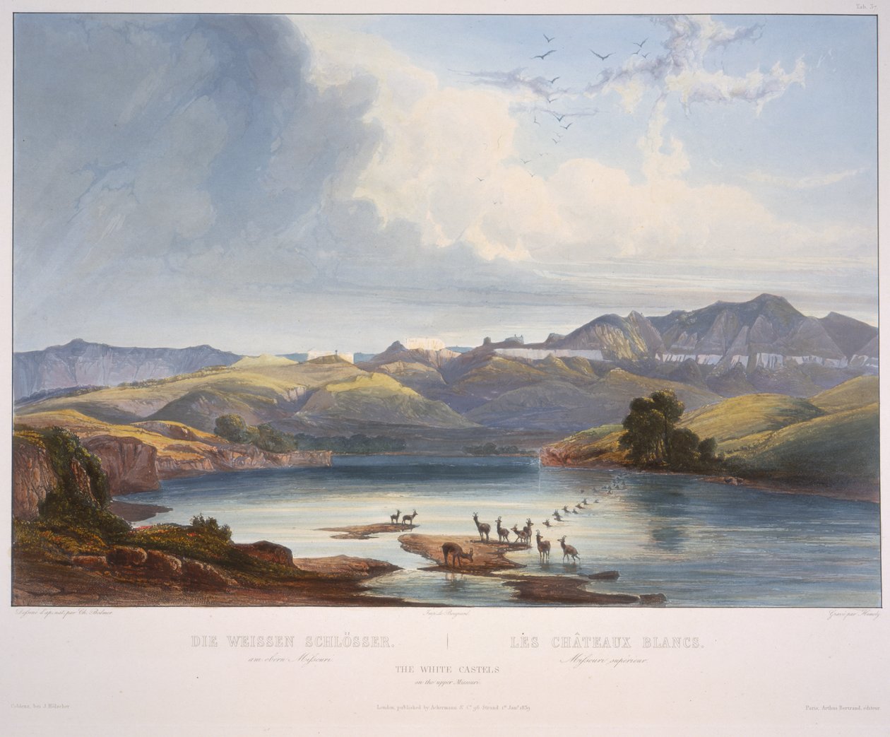 De Witte Kastelen aan de Boven-Missouri door Karl Bodmer