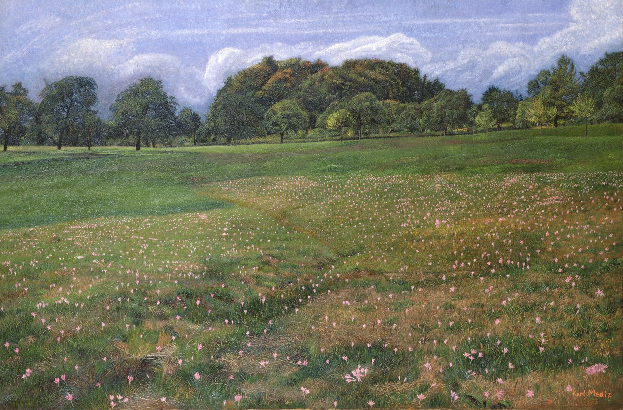 Een veld van herfstkrokussen, 1908 door Karl Mediz