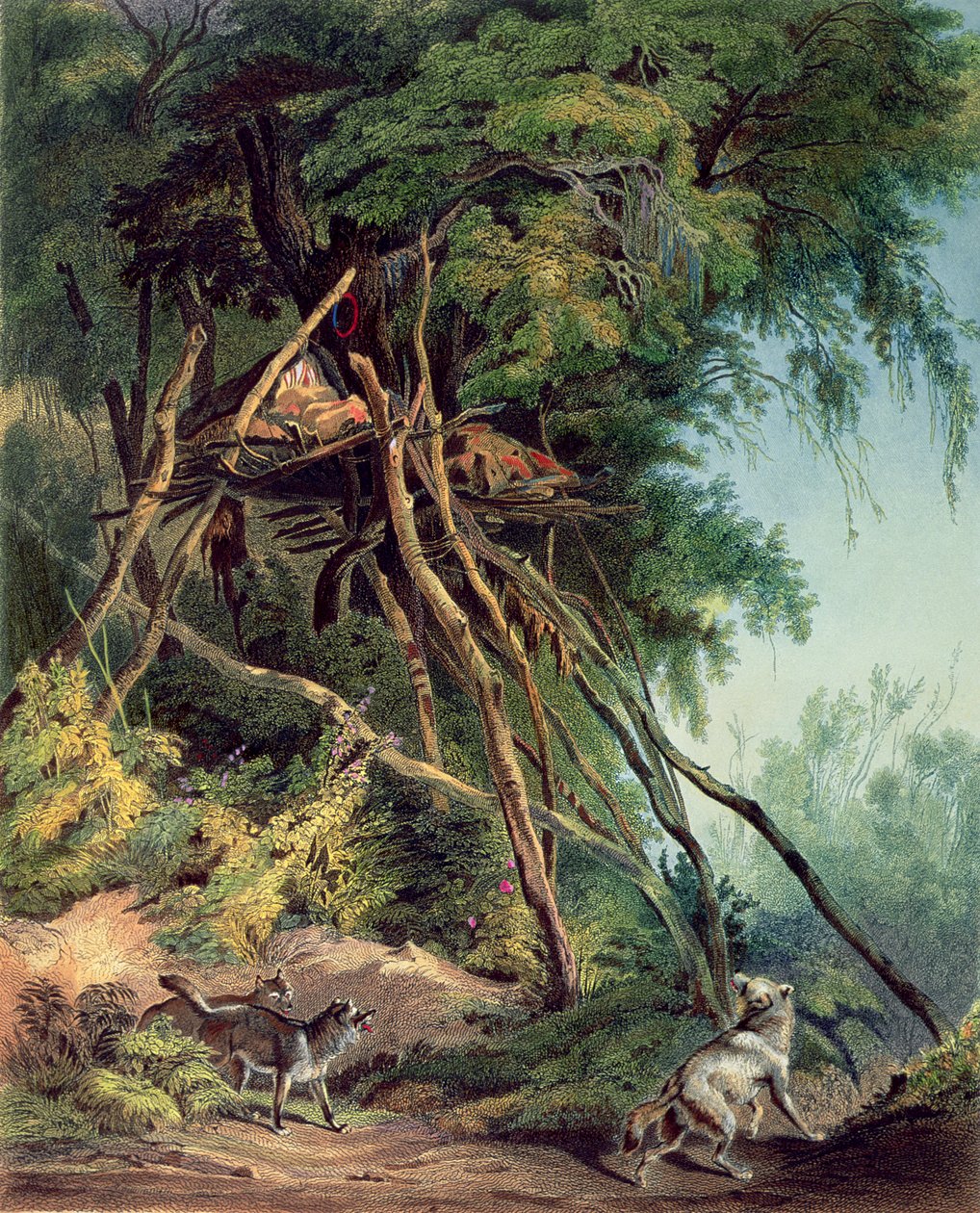 Graven van Assiniboin Indianen in bomen, plaat 30 uit volume 2 van `Reizen in het Binnenland van Noord-Amerika` door Karl (after) Bodmer