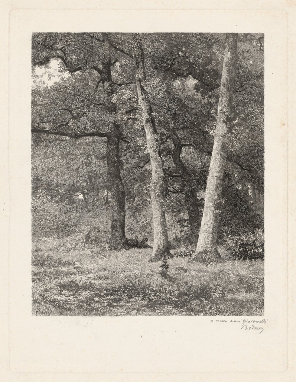 Een open plek in het bos door Karl Bodmer