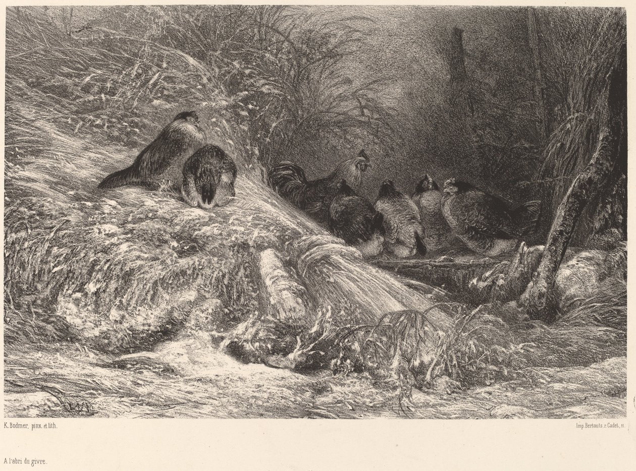 Beschut tegen de vorst door Karl Bodmer