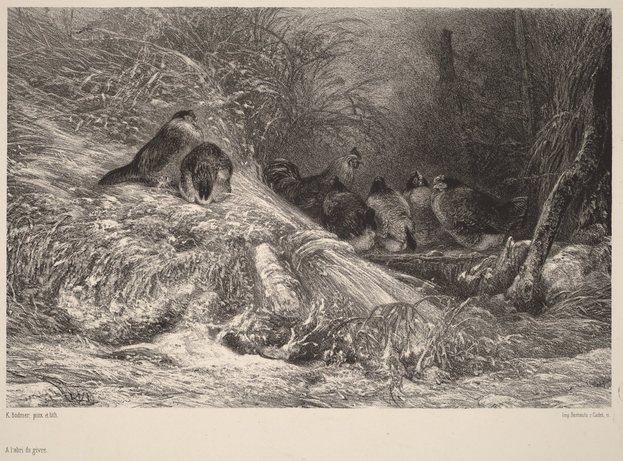 Vrij van vorst door Karl Bodmer
