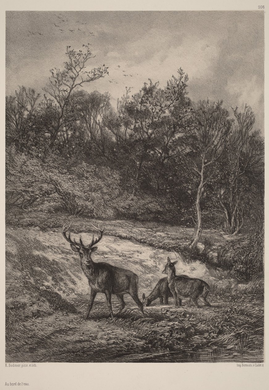 Aan het water door Karl Bodmer