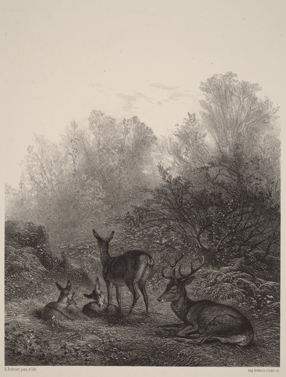 Rustende hinden door Karl Bodmer