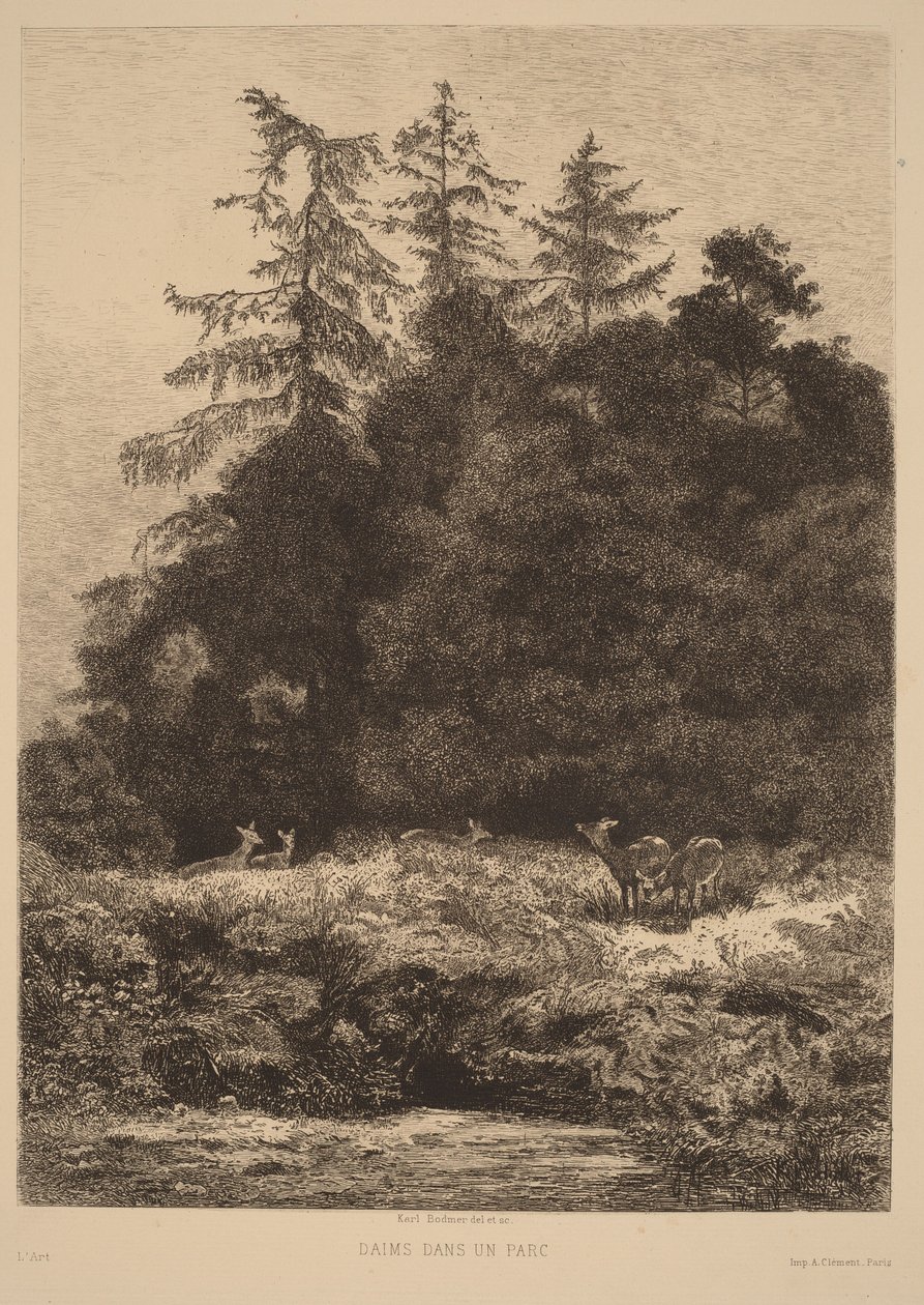 Damherten in een park door Karl Bodmer