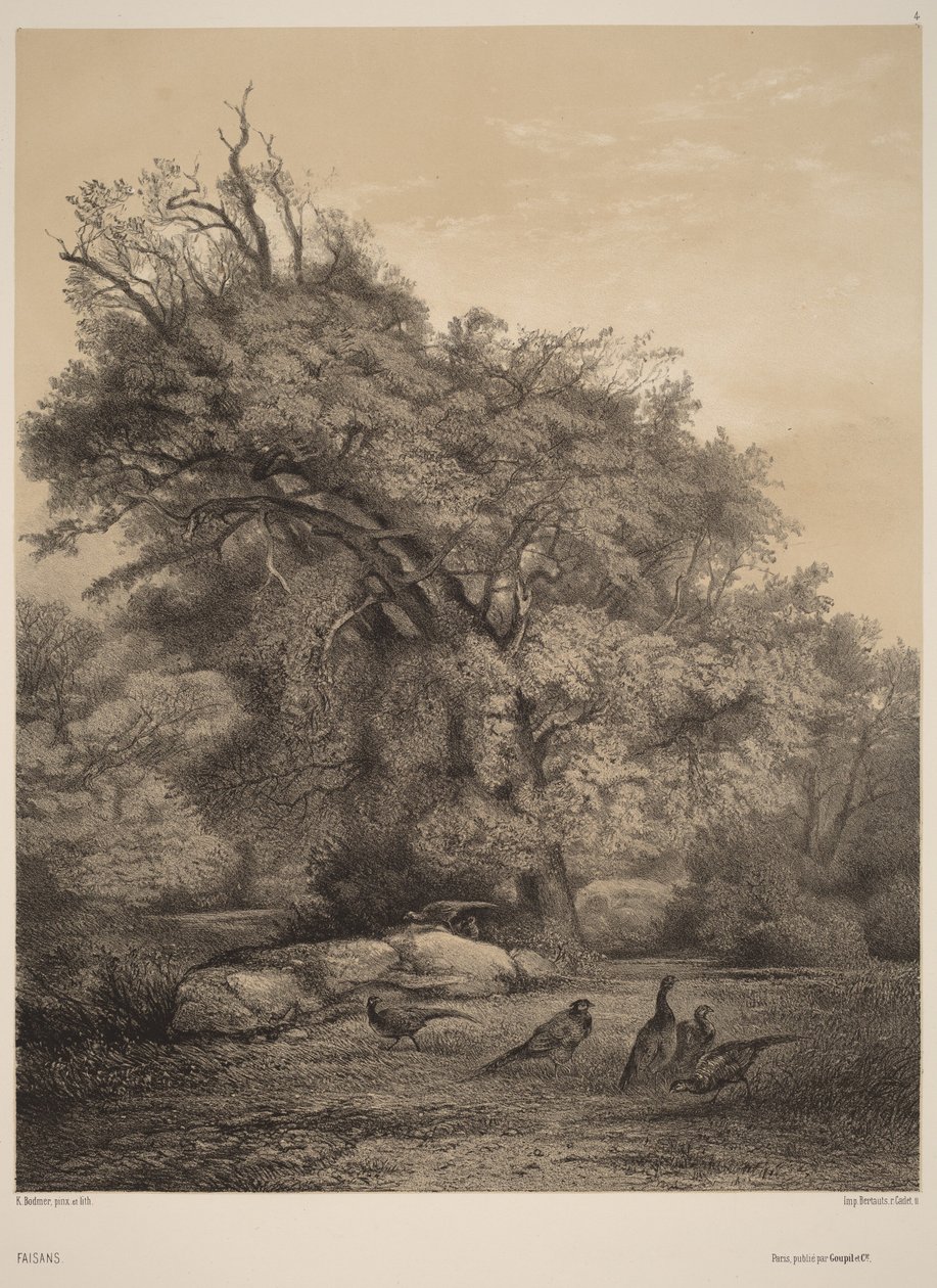 Fazanten door Karl Bodmer