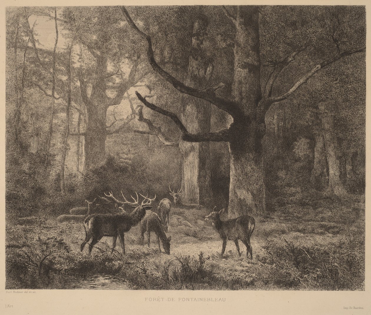 Het bos van Fontainebleau door Karl Bodmer