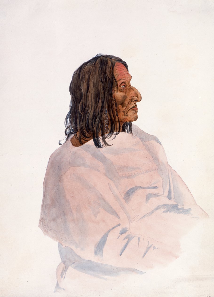 Homachséh-Kakatóhs, Piegan Blackfeet Man door Karl Bodmer