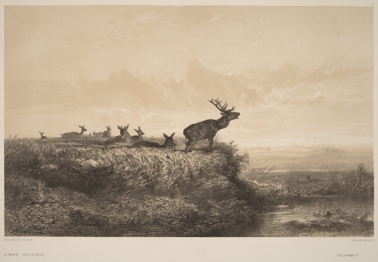 De ochtend door Karl Bodmer