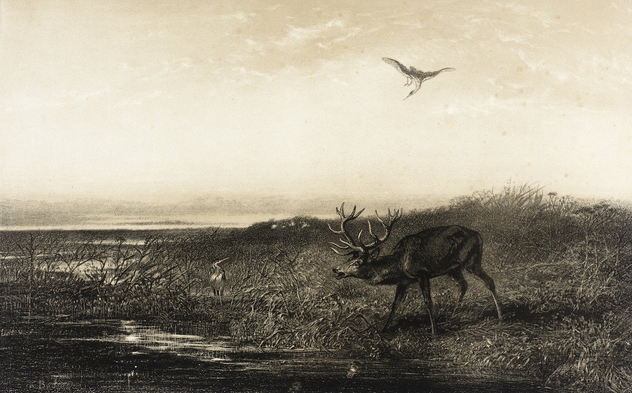 De avond: hert en reigers door Karl Bodmer