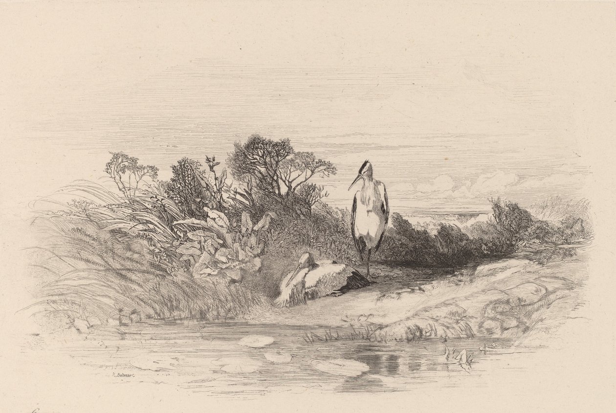 Les Deux Herons door Karl Bodmer