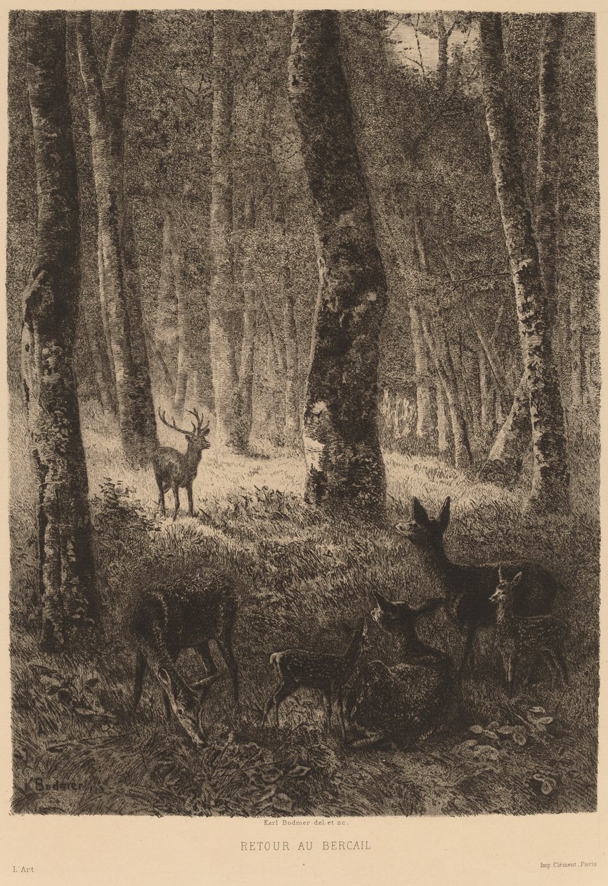 Terug naar de Schaapskooi door Karl Bodmer