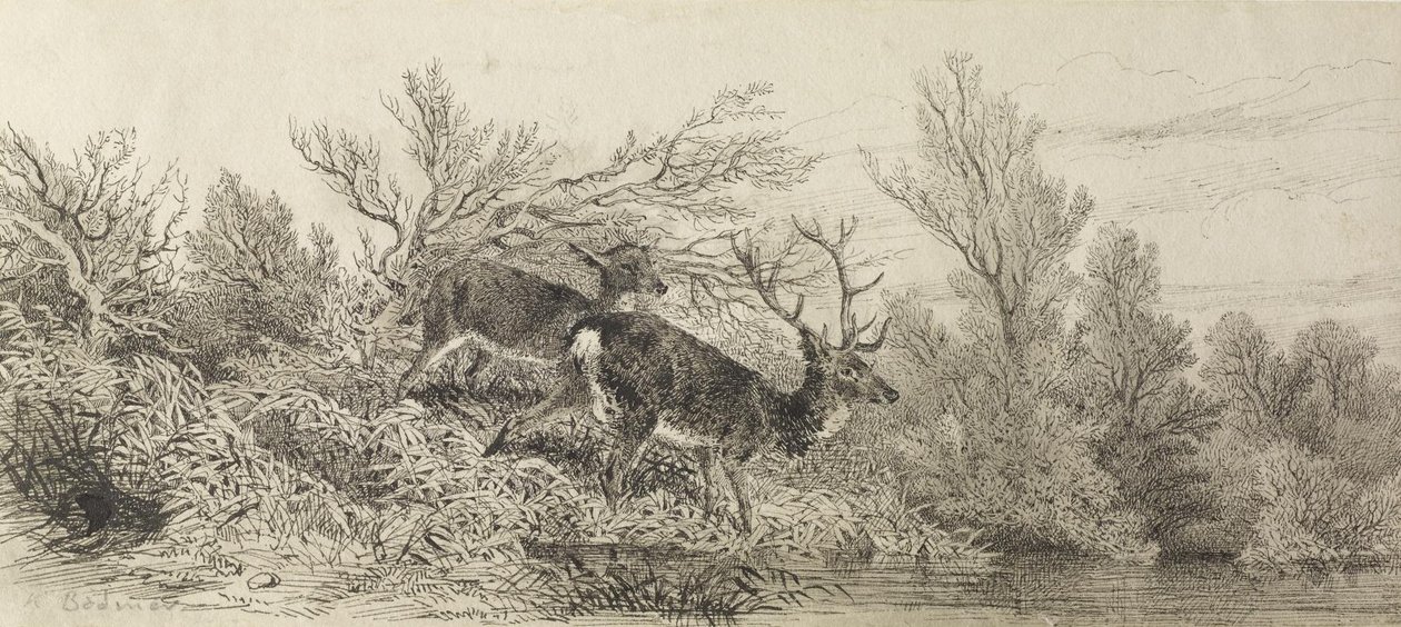 Hert in het bos door Karl Bodmer