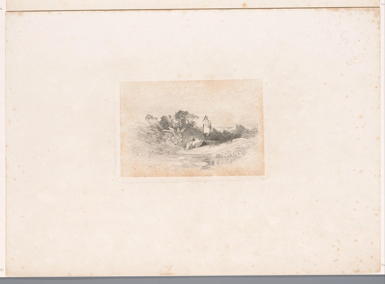 Twee reigers aan de waterkant door Karl Bodmer