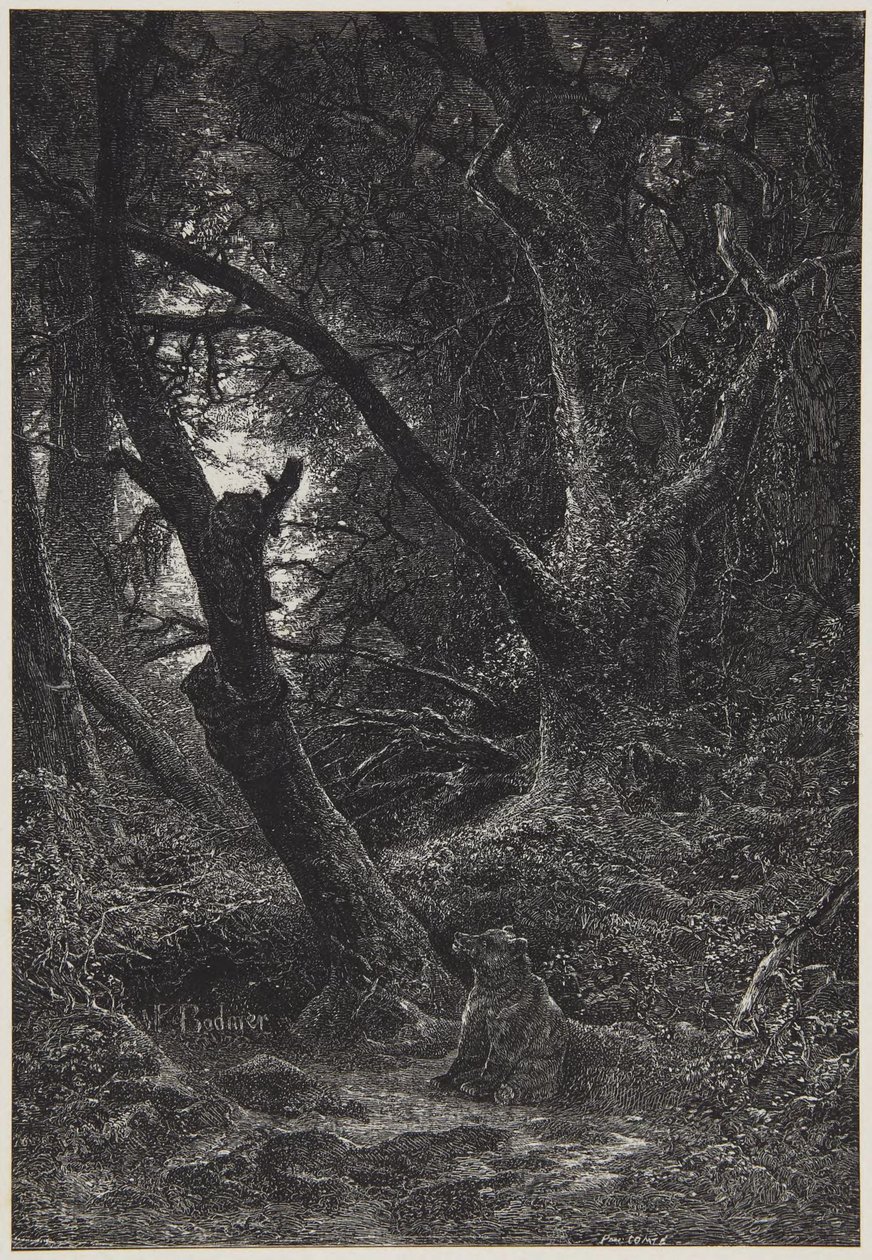 Twee beren in het bos door Karl Bodmer